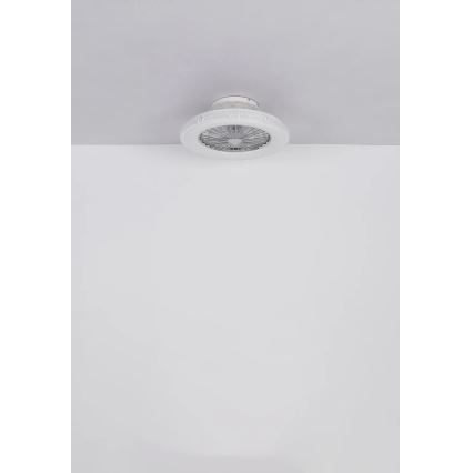 Globo - LED stropni ventilator s prigušivanjem svjetla LED/40W/230V 3000-6500K + daljinski upravljač
