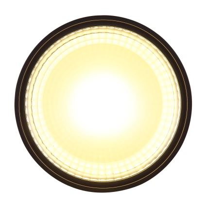 Globo - LED Stropna svjetiljka LED/12W/230V 3000K