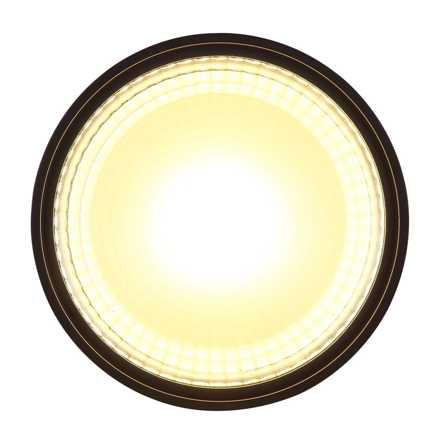 Globo - LED Stropna svjetiljka LED/12W/230V 3000K