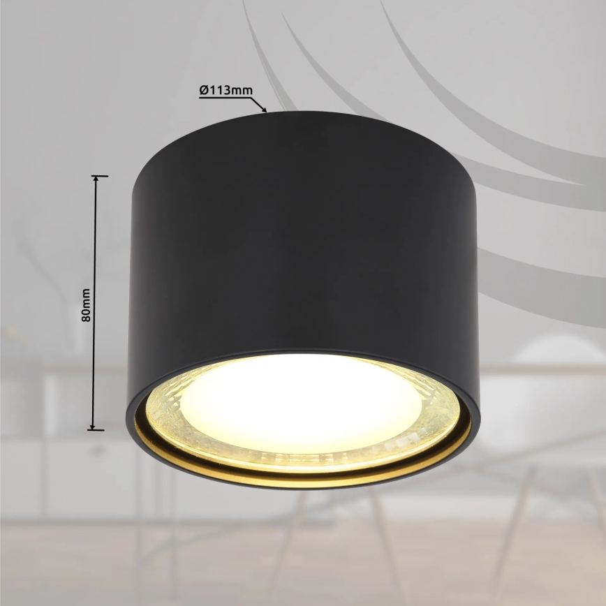 Globo - LED Stropna svjetiljka LED/12W/230V 3000K