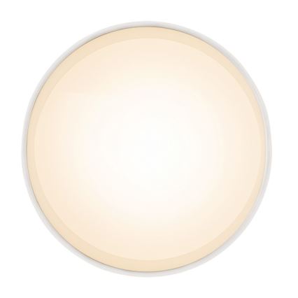 Globo 12015W - LED Stropna svjetiljka JENNY LED/8W/230V