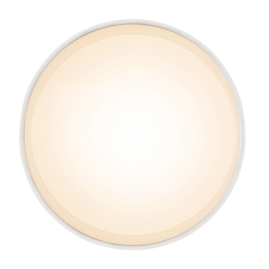 Globo 12015W - LED Stropna svjetiljka JENNY LED/8W/230V