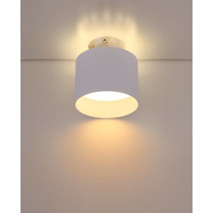 Globo 12015W - LED Stropna svjetiljka JENNY LED/8W/230V