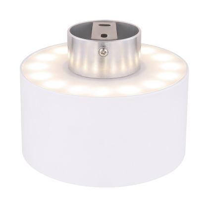 Globo 12016W - LED Stropna svjetiljka JENNY LED/16W/230V
