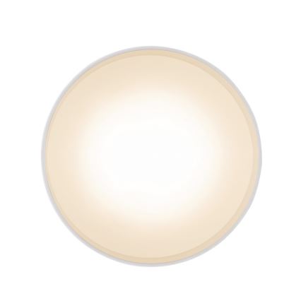 Globo 12016W - LED Stropna svjetiljka JENNY LED/16W/230V