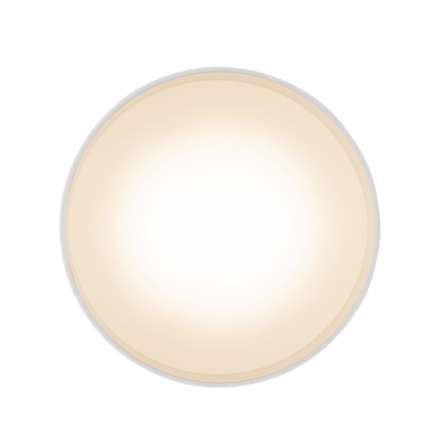 Globo 12016W - LED Stropna svjetiljka JENNY LED/16W/230V