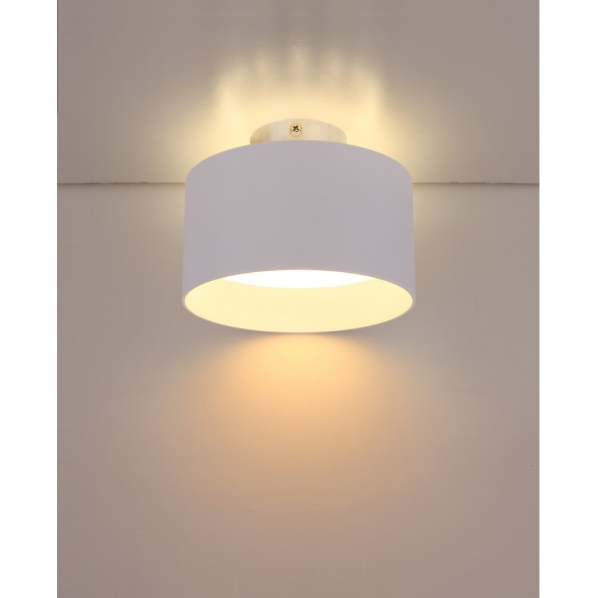 Globo 12016W - LED Stropna svjetiljka JENNY LED/16W/230V