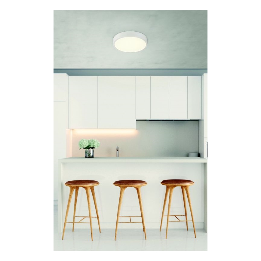 Globo - LED Prigušiva stropna svjetiljka LED/22W/230V