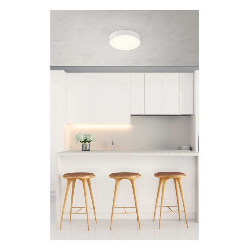 Globo - LED Prigušiva stropna svjetiljka LED/22W/230V