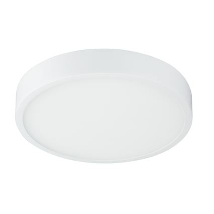 Globo - LED Prigušiva stropna svjetiljka LED/22W/230V