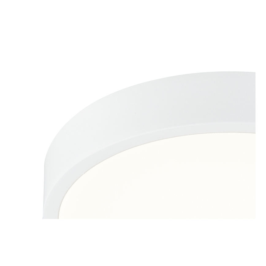 Globo - LED Prigušiva stropna svjetiljka LED/22W/230V