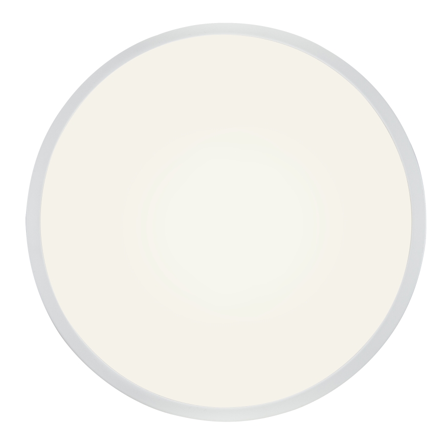 Globo - LED Prigušiva stropna svjetiljka LED/28W/230V