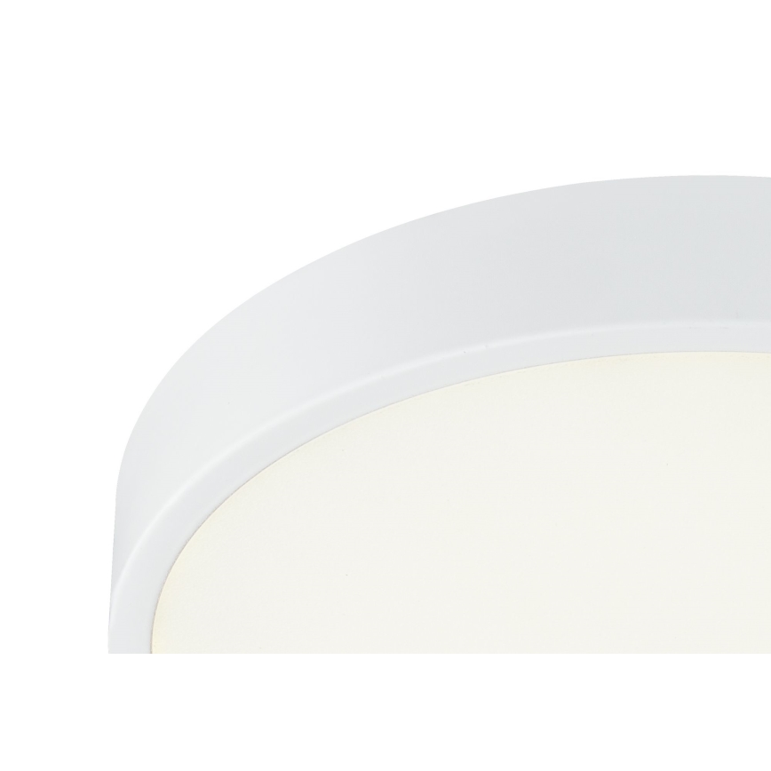Globo - LED Prigušiva stropna svjetiljka LED/28W/230V