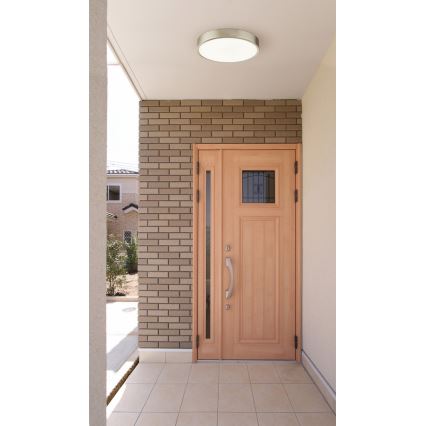 Globo - LED prigušivo stropno svjetlo LED/22W/230V