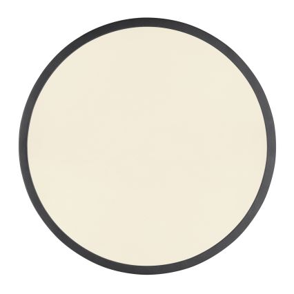 Globo - LED Prigušiva stropna svjetiljka LED/22W/230V
