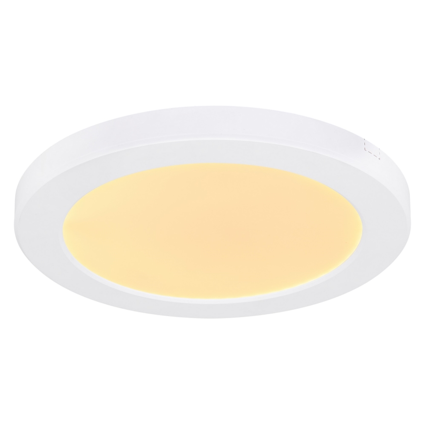 Globo - LED Stropna svjetiljka LED/18W/230V 3000/4000/6500K bijela