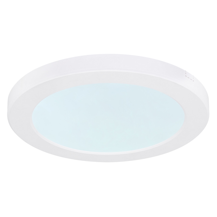 Globo - LED Stropna svjetiljka LED/18W/230V 3000/4000/6500K bijela