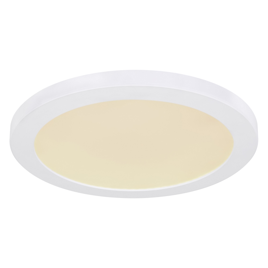 Globo - LED Stropna svjetiljka LED/24W/230V 3000/4000/6500K bijela