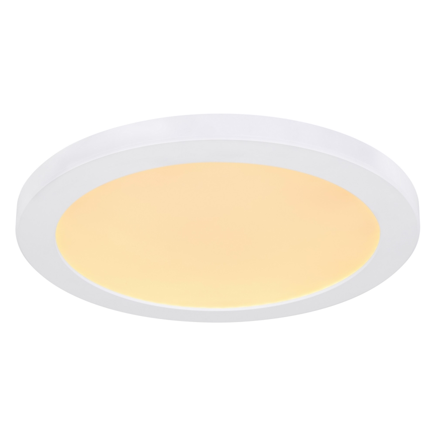 Globo - LED Stropna svjetiljka LED/24W/230V 3000/4000/6500K bijela