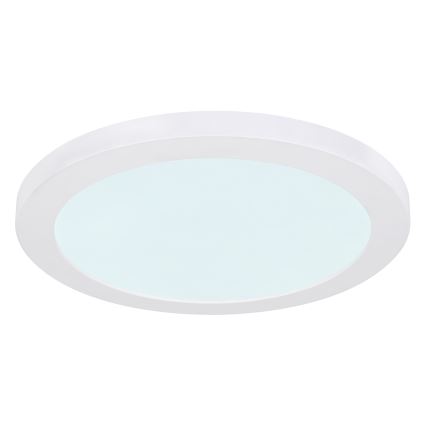 Globo - LED Stropna svjetiljka LED/24W/230V 3000/4000/6500K bijela