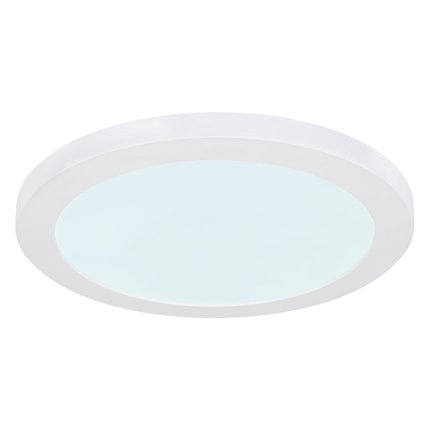 Globo - LED Stropna svjetiljka LED/24W/230V 3000/4000/6500K bijela
