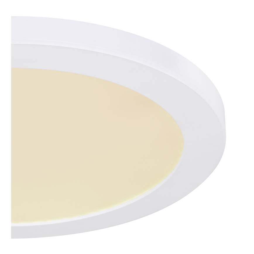 Globo - LED Stropna svjetiljka LED/24W/230V 3000/4000/6500K bijela