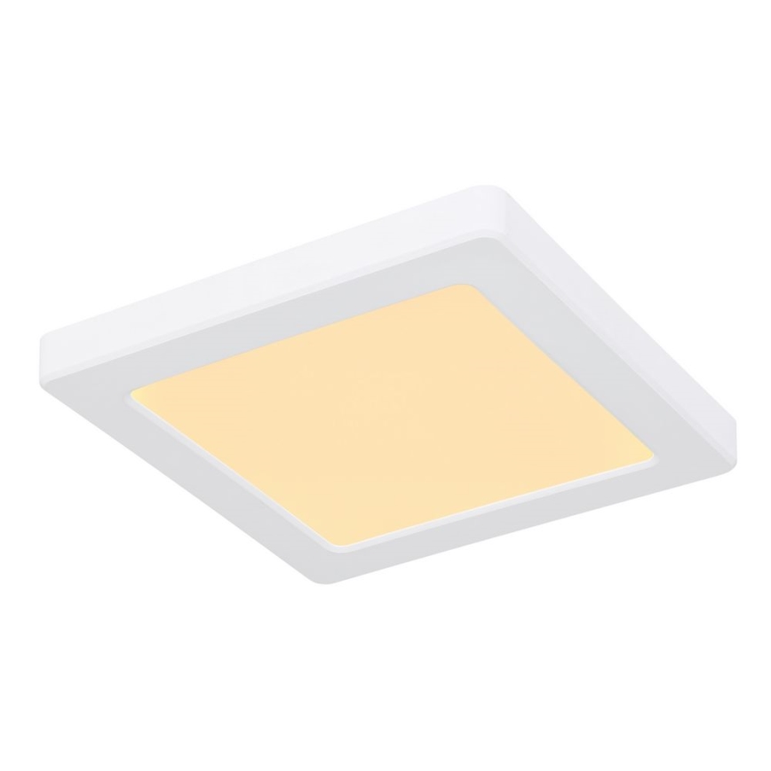 Globo - LED Stropna svjetiljka LED/12W/230V 3000/4000/6500K bijela
