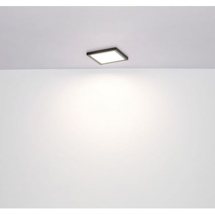 Globo - LED Stropna svjetiljka LED/18W/230V 3000/4000/6500K crna