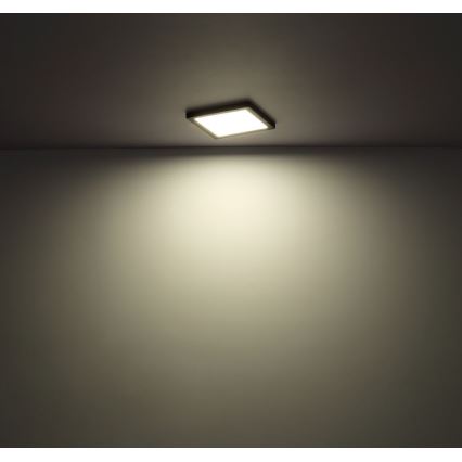 Globo - LED Stropna svjetiljka LED/18W/230V 3000/4000/6500K bijela