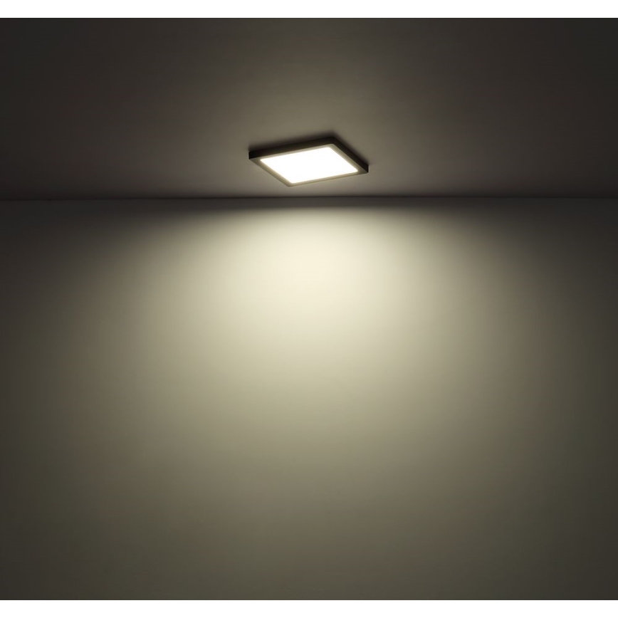 Globo - LED Stropna svjetiljka LED/18W/230V 3000/4000/6500K bijela