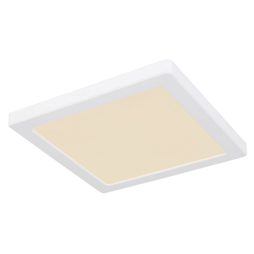 Globo - LED Stropna svjetiljka LED/18W/230V 3000/4000/6500K bijela