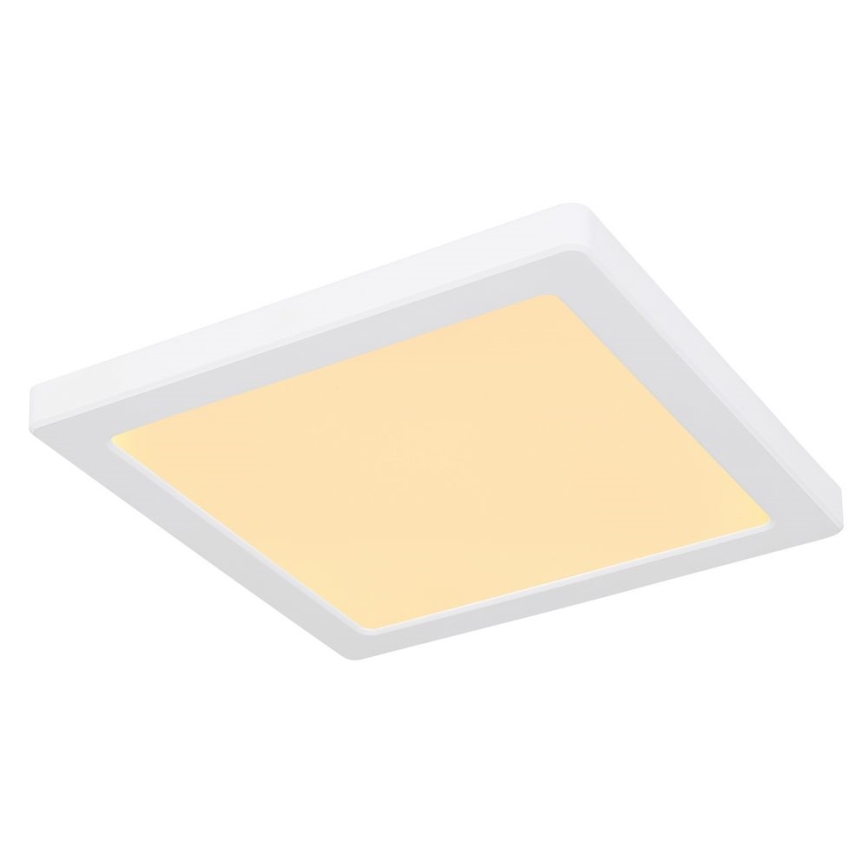 Globo - LED Stropna svjetiljka LED/18W/230V 3000/4000/6500K bijela