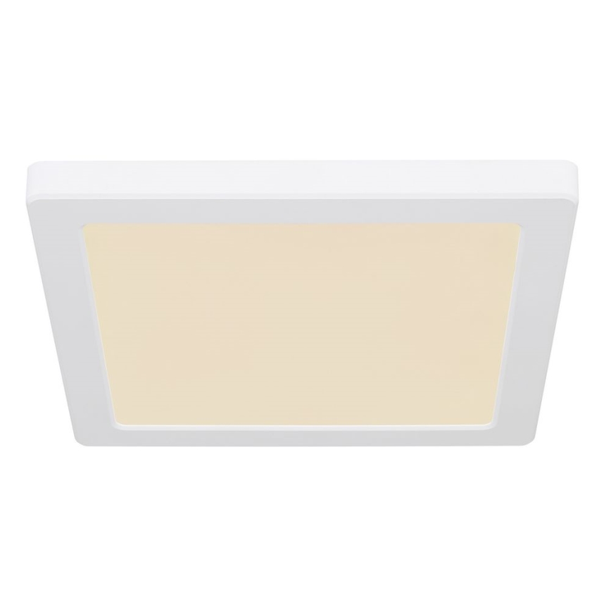 Globo - LED Stropna svjetiljka LED/18W/230V 3000/4000/6500K bijela