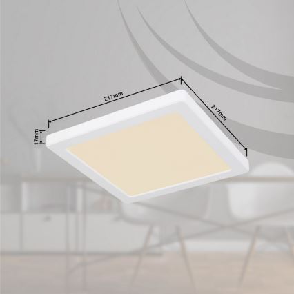 Globo - LED Stropna svjetiljka LED/18W/230V 3000/4000/6500K bijela