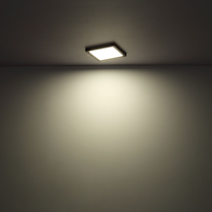 Globo - LED Stropna svjetiljka LED/24W/230V 3000/4000/6500K bijela