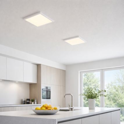 Globo - LED Stropna svjetiljka LED/24W/230V 3000/4000/6500K bijela