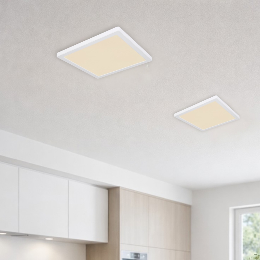 Globo - LED Stropna svjetiljka LED/24W/230V 3000/4000/6500K bijela