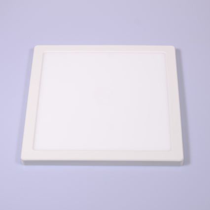 Globo - LED Stropna svjetiljka LED/24W/230V 3000/4000/6500K bijela