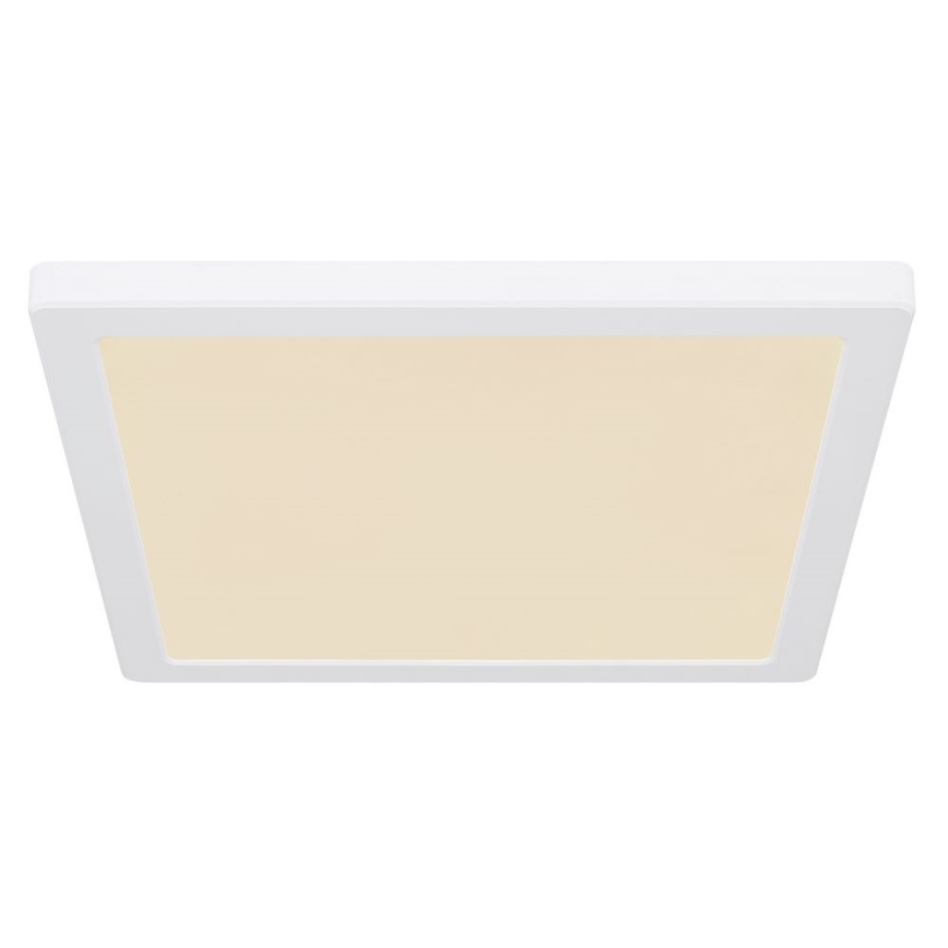 Globo - LED Stropna svjetiljka LED/24W/230V 3000/4000/6500K bijela