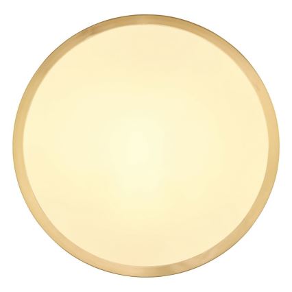 Globo - LED Stropna svjetiljka LED/15W/230V pr. 25 cm