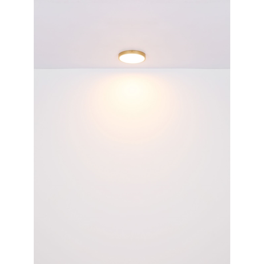 Globo - LED Stropna svjetiljka LED/22W/230V pr. 35 cm