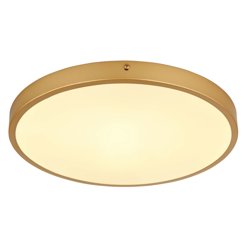 Globo - LED Stropna svjetiljka LED/22W/230V pr. 35 cm