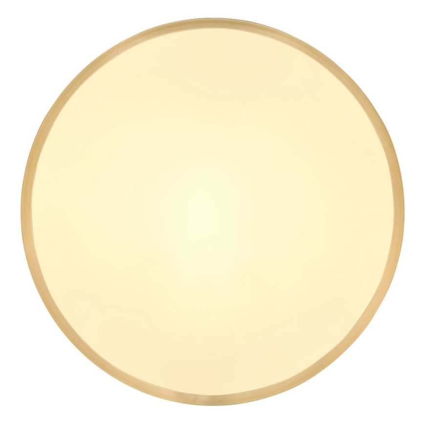 Globo - LED Stropna svjetiljka LED/22W/230V pr. 35 cm