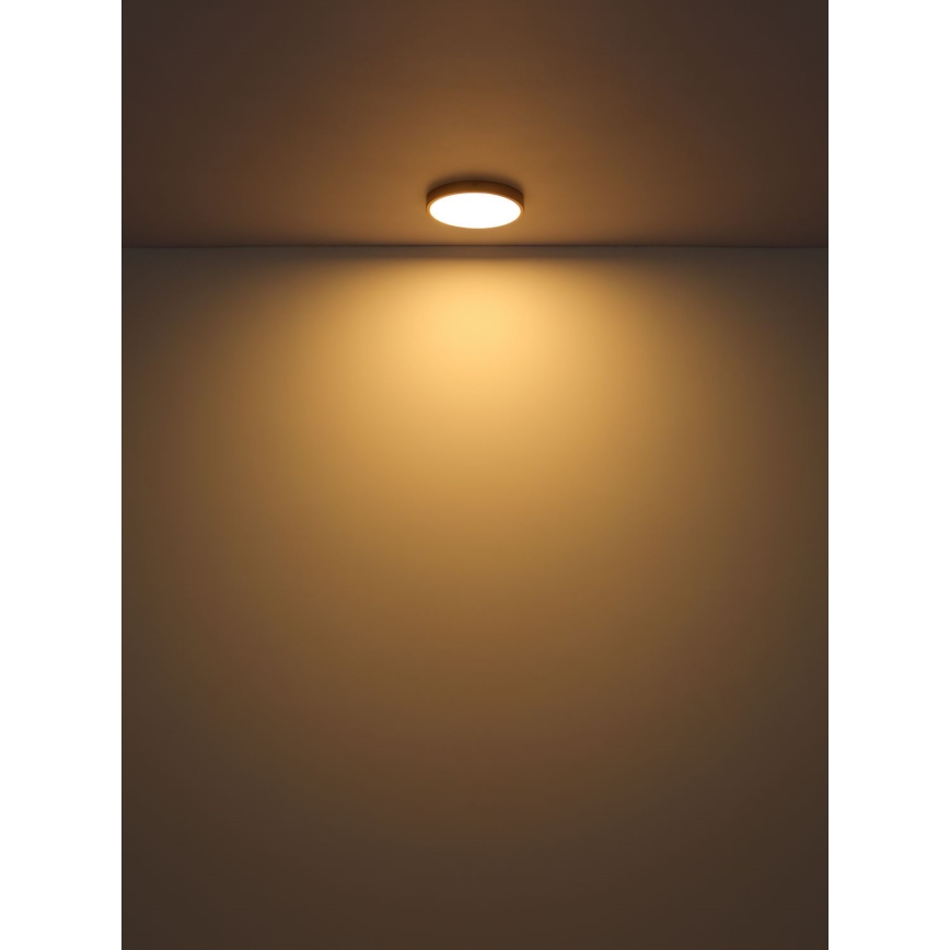 Globo - LED Stropna svjetiljka LED/30W/230V pr. 45 cm