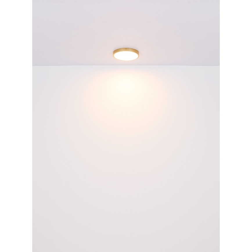Globo - LED Stropna svjetiljka LED/30W/230V pr. 45 cm