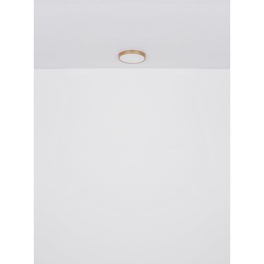 Globo - LED Stropna svjetiljka LED/30W/230V pr. 45 cm