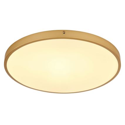 Globo - LED Stropna svjetiljka LED/30W/230V pr. 45 cm