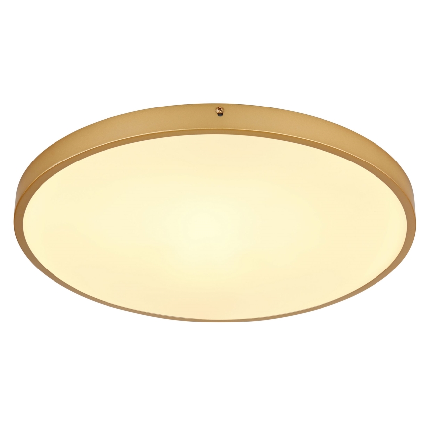 Globo - LED Stropna svjetiljka LED/30W/230V pr. 45 cm