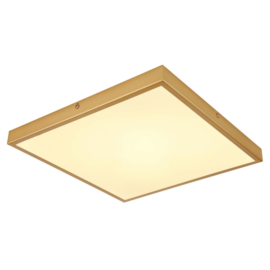 Globo - LED Stropna svjetiljka LED/22W/230V 35x35 cm