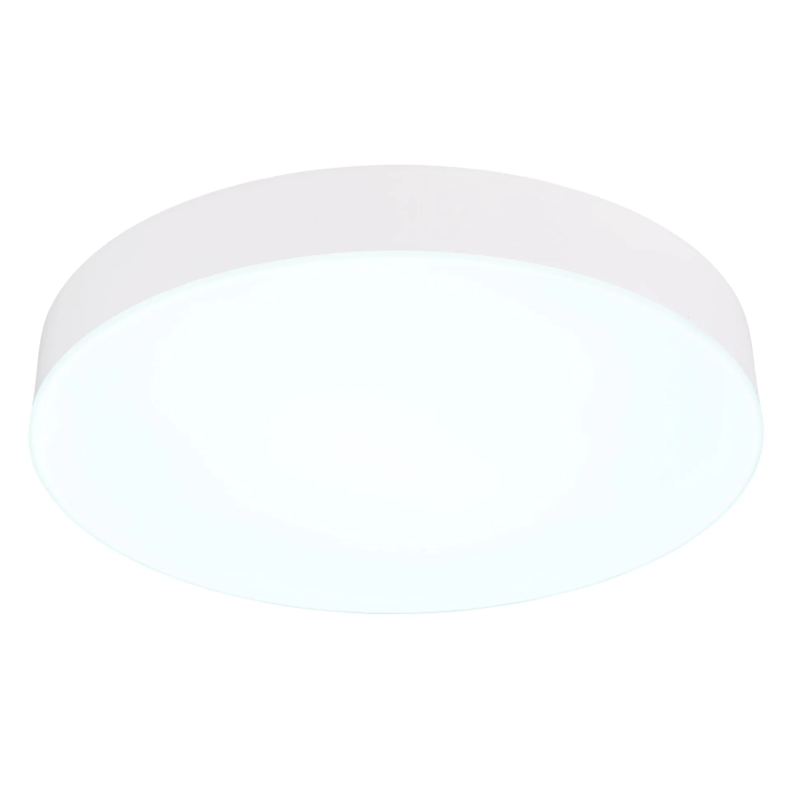 Globo - LED Stropna svjetiljka LED/24W/230V 3000K/4000K/6500K pr. 30 cm bijela